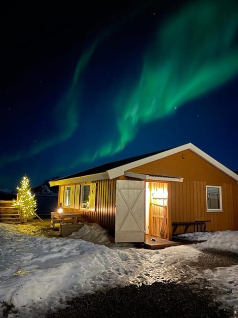 Lofoten Sunset & Ocean VIew Apartment in Lofoten