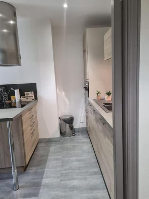 L'Ourse, Epinal,très bel appartement quartier Port Apartment in Vosges