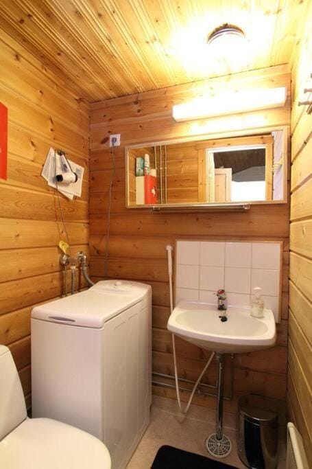 Lomariihi 1 House in Finland