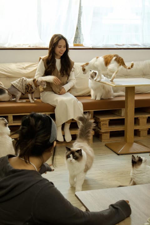 Animals