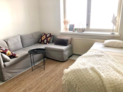 Bed, Living room, Photo of the whole room, Seating area, Bedroom