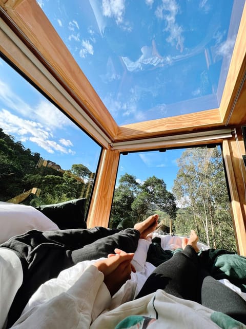 Bed, Day, Natural landscape, View (from property/room), Photo of the whole room, Bedroom