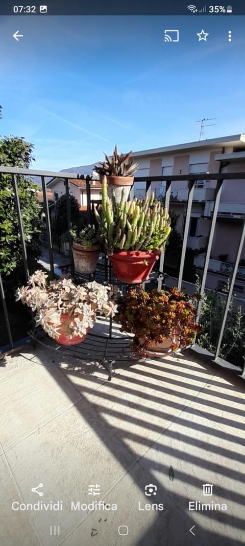 Appartamento Gemma Apartment in Pietrasanta