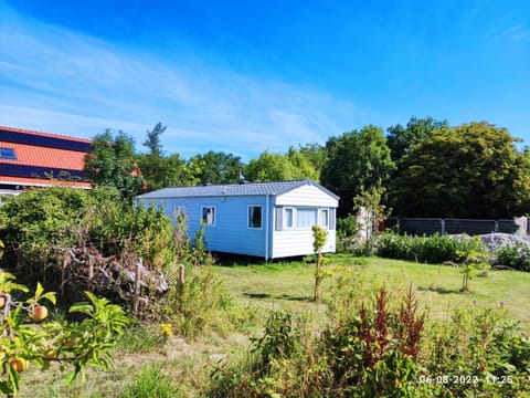 Property building, Day, Garden, Garden view