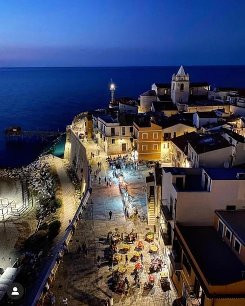 Nearby landmark, Bird's eye view, Evening entertainment, City view, Sea view, Location