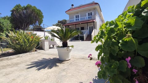 Property building, Patio, Spring, Day, Garden, Garden view, Time of day