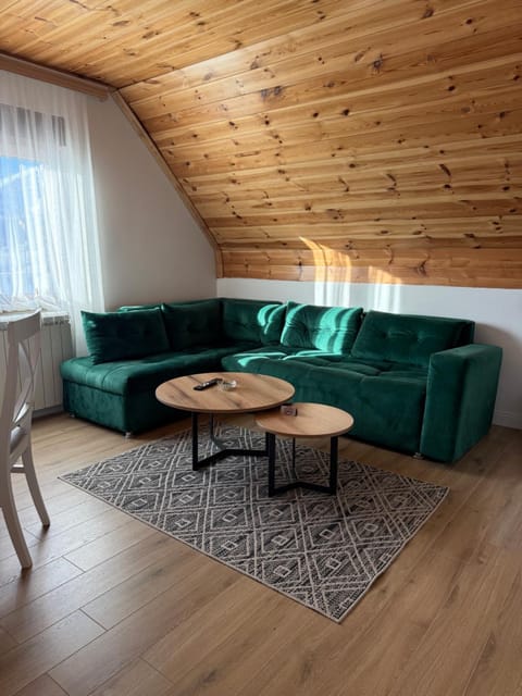 View of Durmitor Apartment in Montenegro