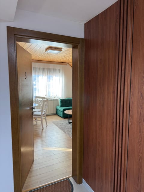 View of Durmitor Apartment in Montenegro