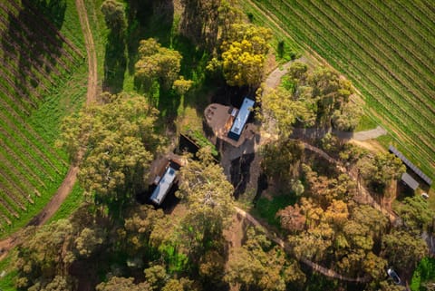 Bird's eye view, Garden