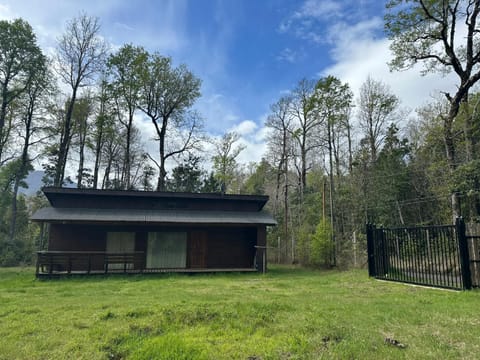 Property building, Spring, Day, Natural landscape, Garden, Garden view