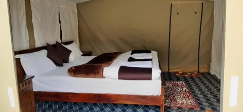 Bed, Living room, Photo of the whole room, Bedroom, towels
