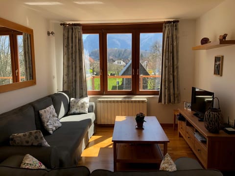 House Jelenko House in Bovec