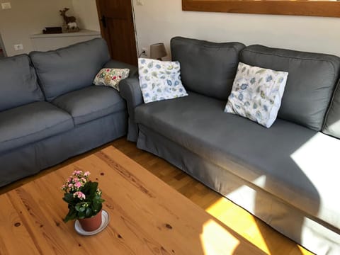 House Jelenko House in Bovec