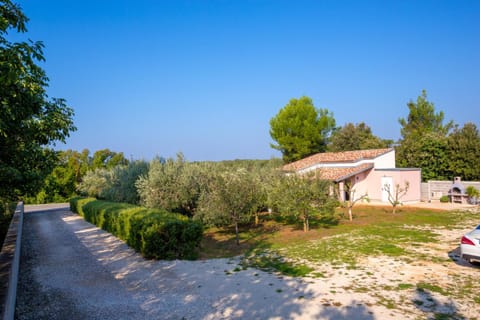 Property building, Natural landscape, Garden, Garden view