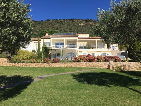 Property view
