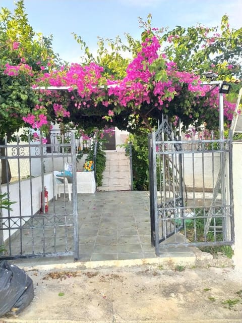 Day, Garden, View (from property/room), Garden view, Street view, Quiet street view, Inner courtyard view