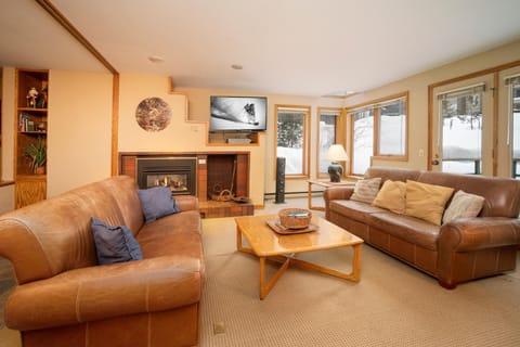 Day, Winter, TV and multimedia, Living room, fireplace, furniture
