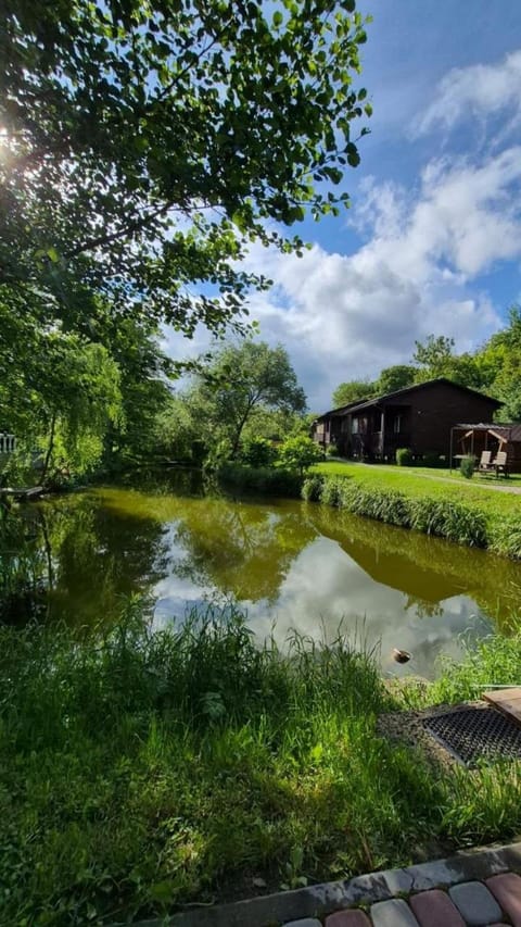 Summer, Lake view