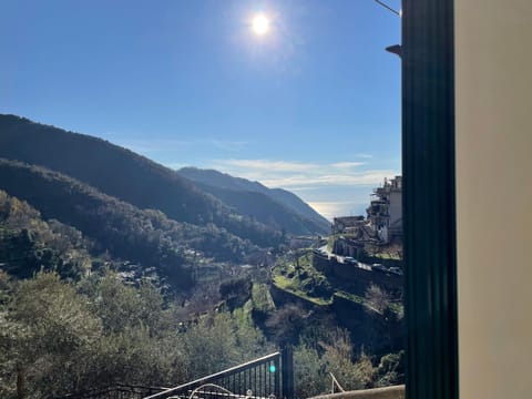 Mountain view