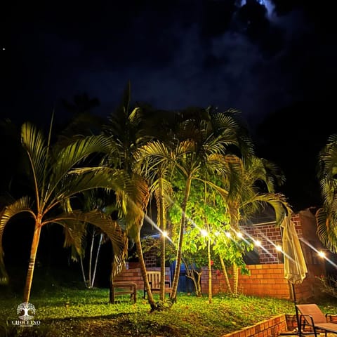 Garden view