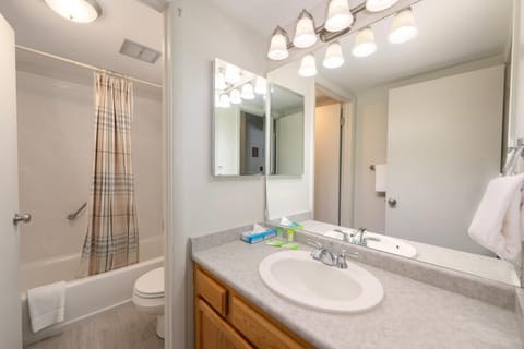 Shower, Toilet, Bathroom, Bath, towels