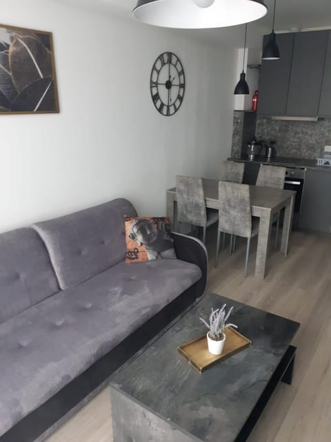 Bruklinas Apartment in Lithuania