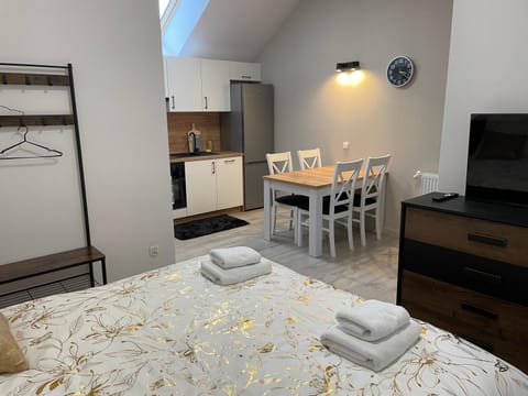 Bed, TV and multimedia, Kitchen or kitchenette, Photo of the whole room, Dining area, Bedroom, pet friendly, towels, wardrobe