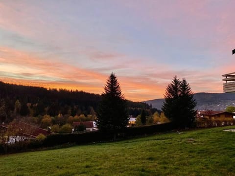 Gérardmer Appt 4/6 rez de jardin Apartment in Gérardmer