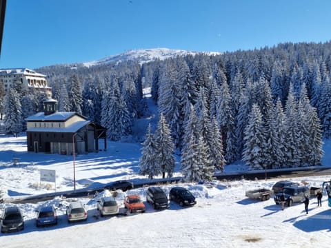 Day, Natural landscape, Winter, Mountain view, Parking