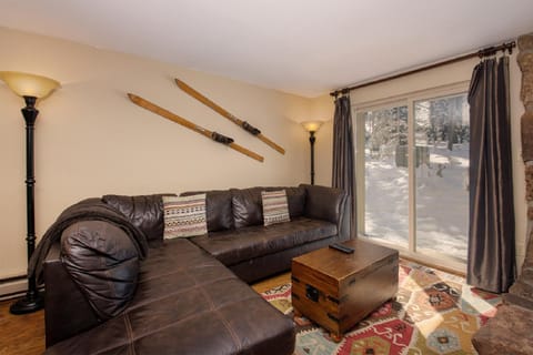Winter, Skiing, Living room, furniture