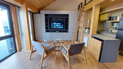 TV and multimedia