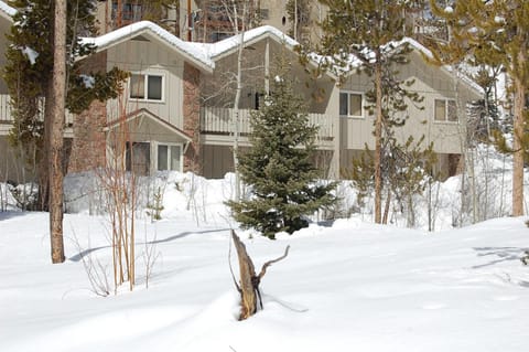 Property building, Natural landscape, Winter