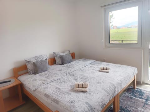 Apartment Diana Apartment in Zlatibor