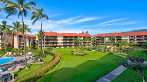Garden, Pool view, Swimming pool
