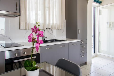 Beautiful Loft Ilion Apartment in Athens