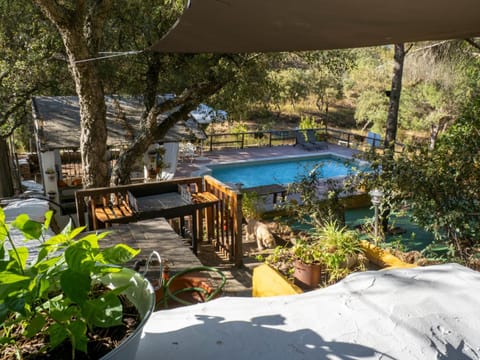 Garden, Pool view, Swimming pool, Swimming pool