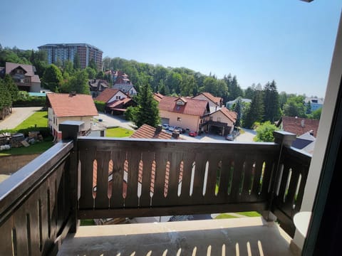 Vila#Borova#800m House in Zlatibor