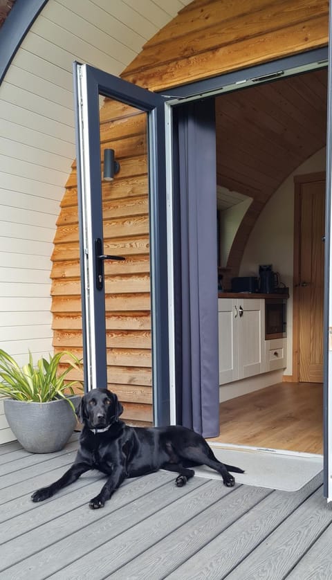 Patio, Pets, Pets, Pets