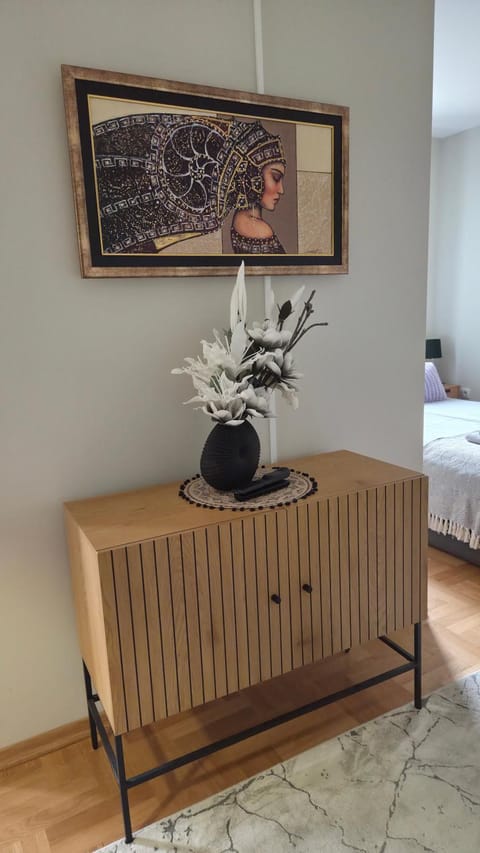 MS Apartman Apartment in Serbia