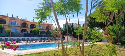 Garden, Swimming pool
