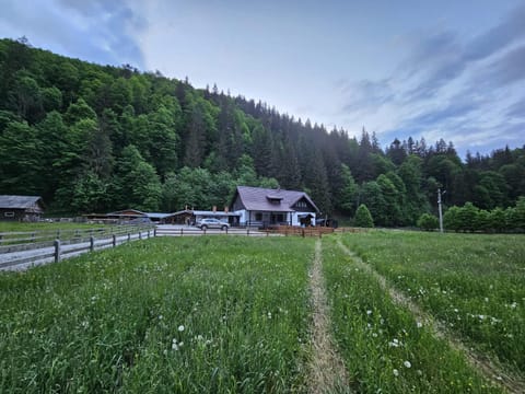 Spring, Day, Natural landscape, Mountain view