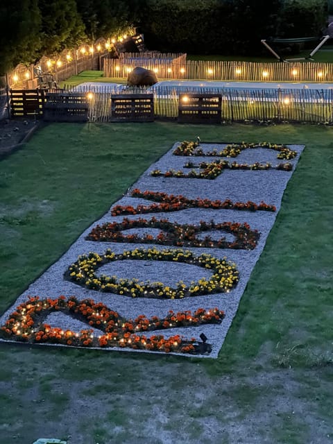 Night, Garden, Garden view