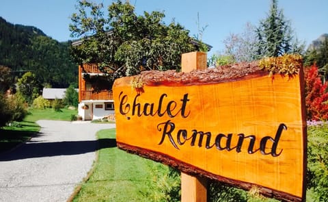 Luxury penthouse apartment Apartment in Haute-Savoie