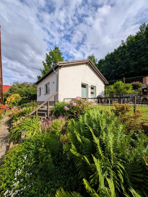 Garden, Garden view