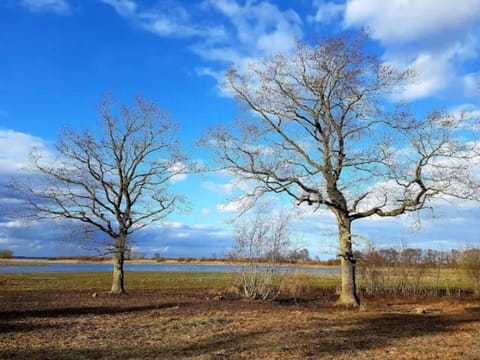 Lake view