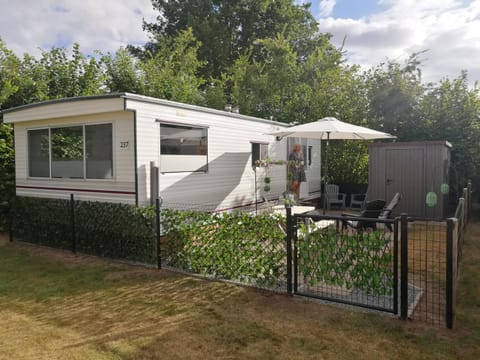 Day, Garden view