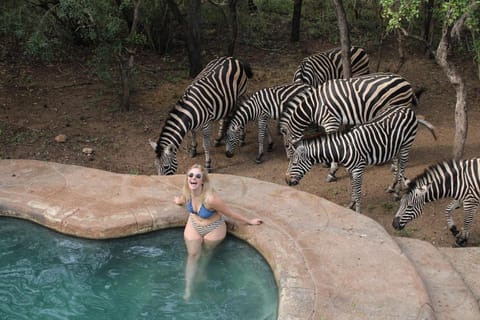 Animals, Pool view, Swimming pool, Swimming pool
