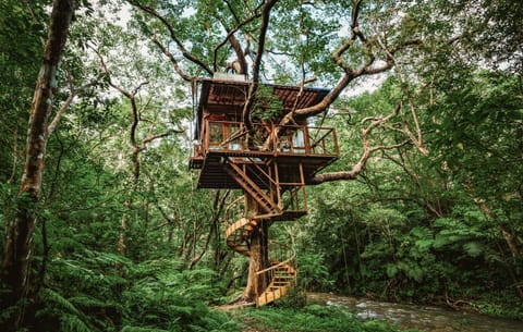 Property building, Day, Natural landscape