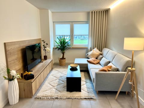 Communal lounge/ TV room, TV and multimedia, Living room