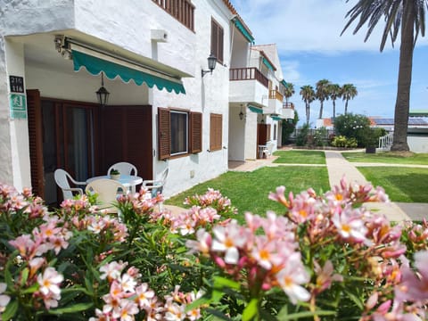 Property building, Day, Garden, Garden view